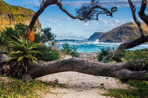 Rugged South African coastal cove